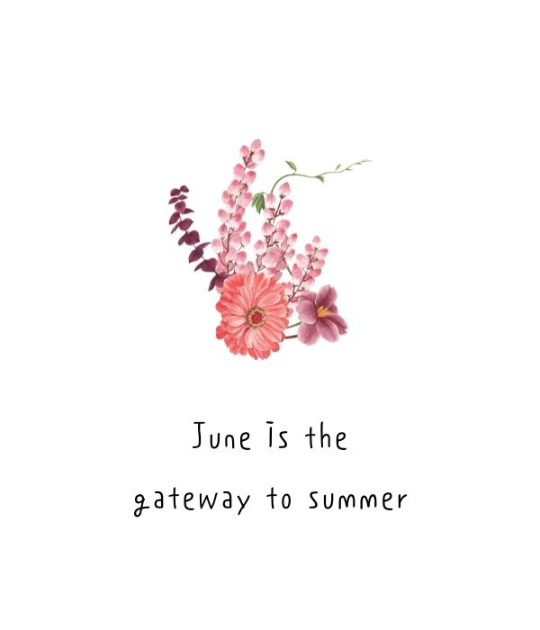 ציטוטים של 37 ביוני להביא כיף קיץ ואווירה טובה